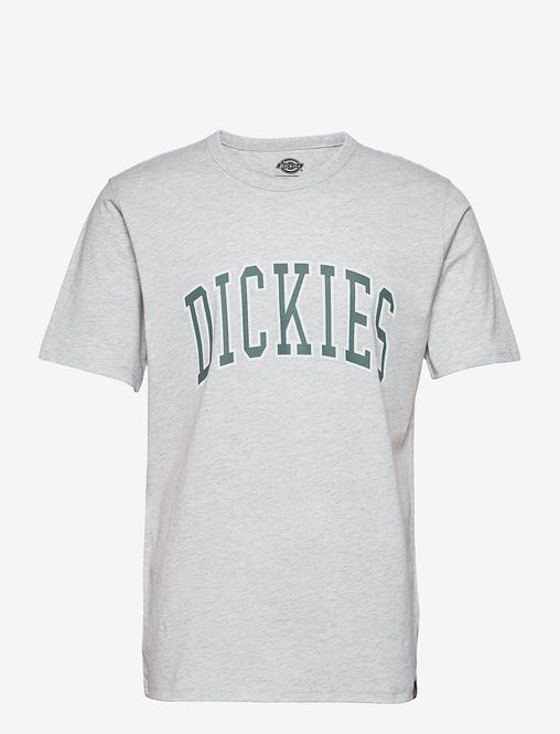 Hovedbilde Dickies Aitkin Tee Light Gray