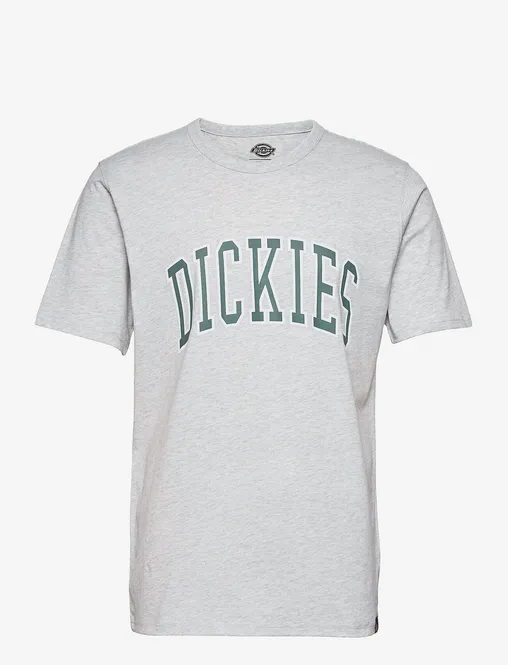 Hovedbilde Dickies Aitkin Tee Light Gray