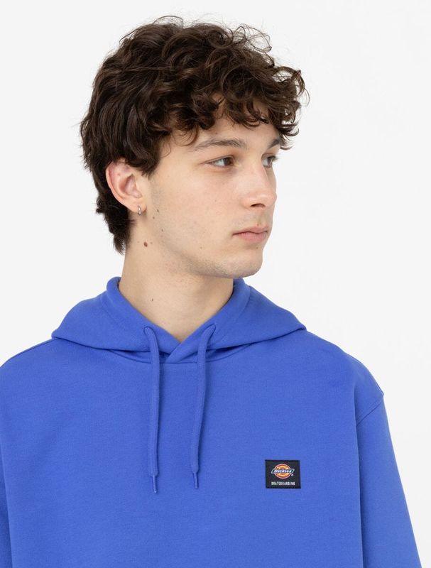 Dickies Skateboarding Mount Vista Hoodie Satin Sky