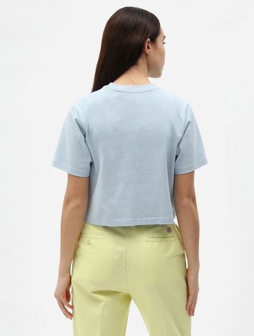 Hovedbilde Dickies Ss Porterdale Crop T-Shirt W Fog Blue