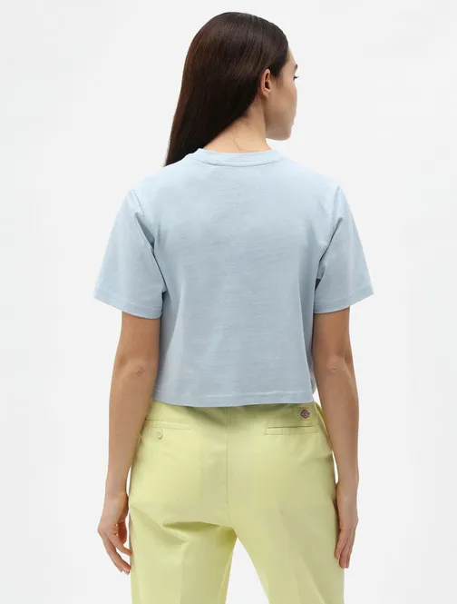 Hovedbilde Dickies Ss Porterdale Crop T-Shirt W Fog Blue
